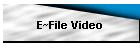 E~File Video